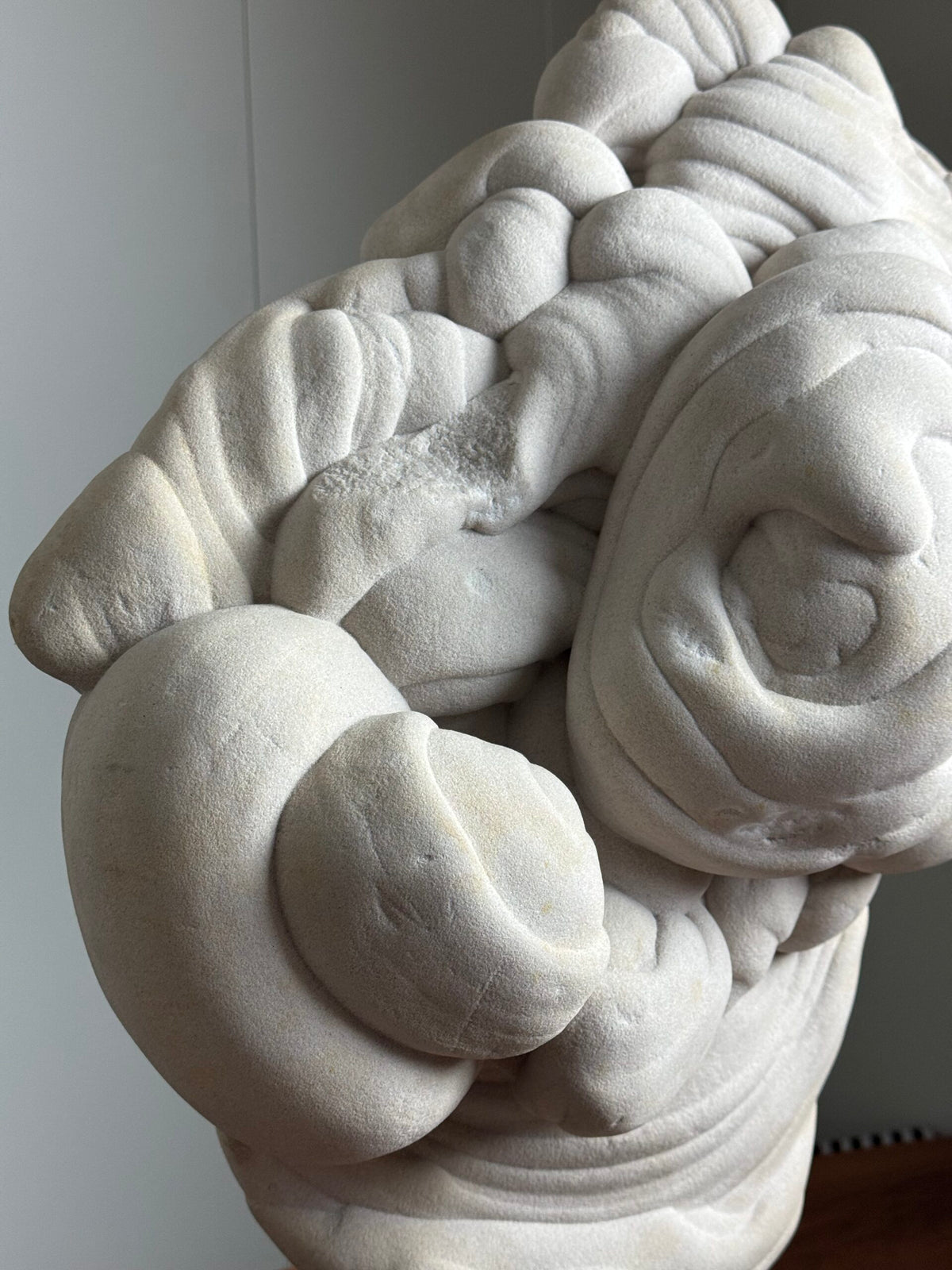 Giant Gogotte de Fontainebleau on Custom Stand, photo 9