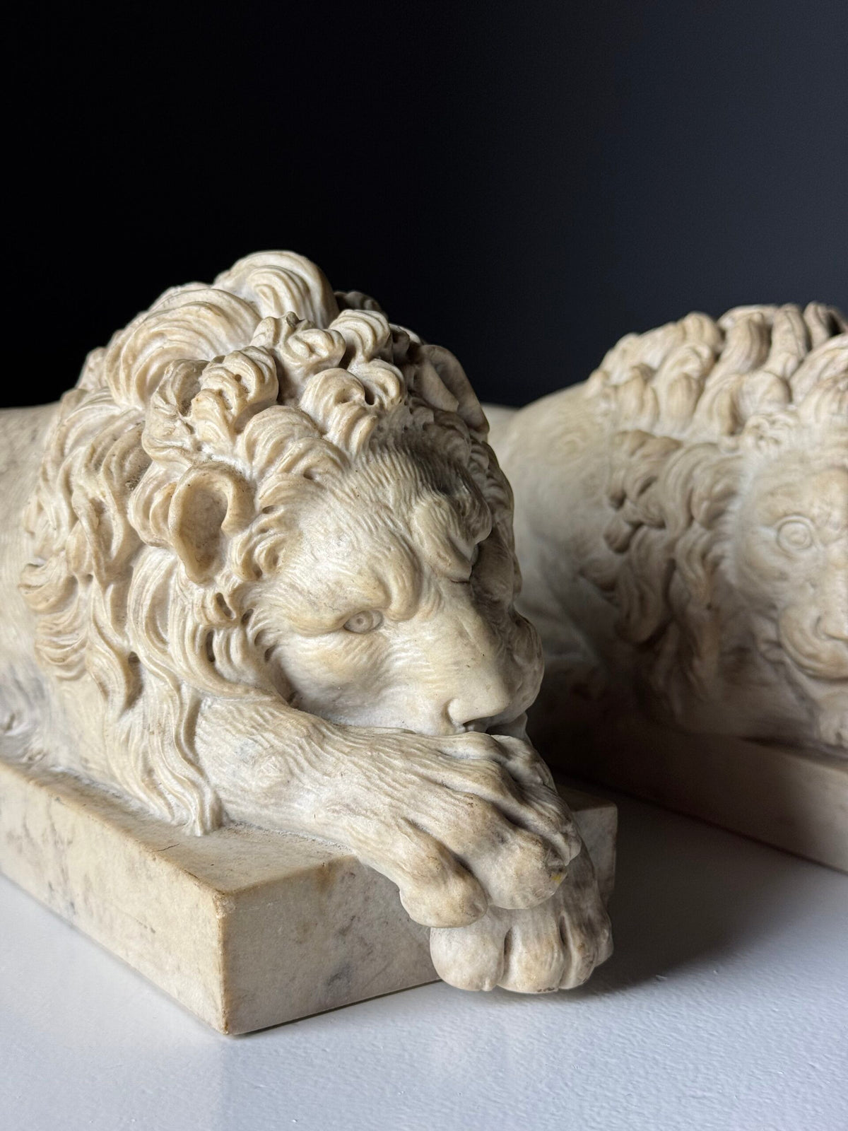 Pair of Reclining Lions After Canova, Mid 20th Century, photo 14