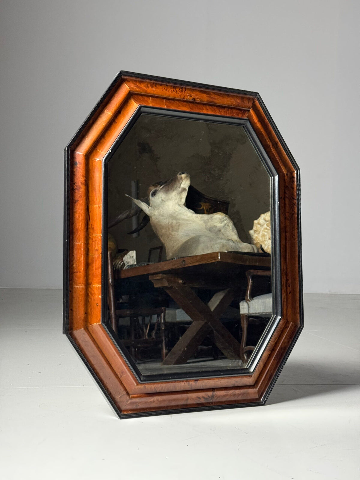 Dutch or Flemish Tortoiseshell Ripple Frame Mirror, Early 20th Century, photo 1