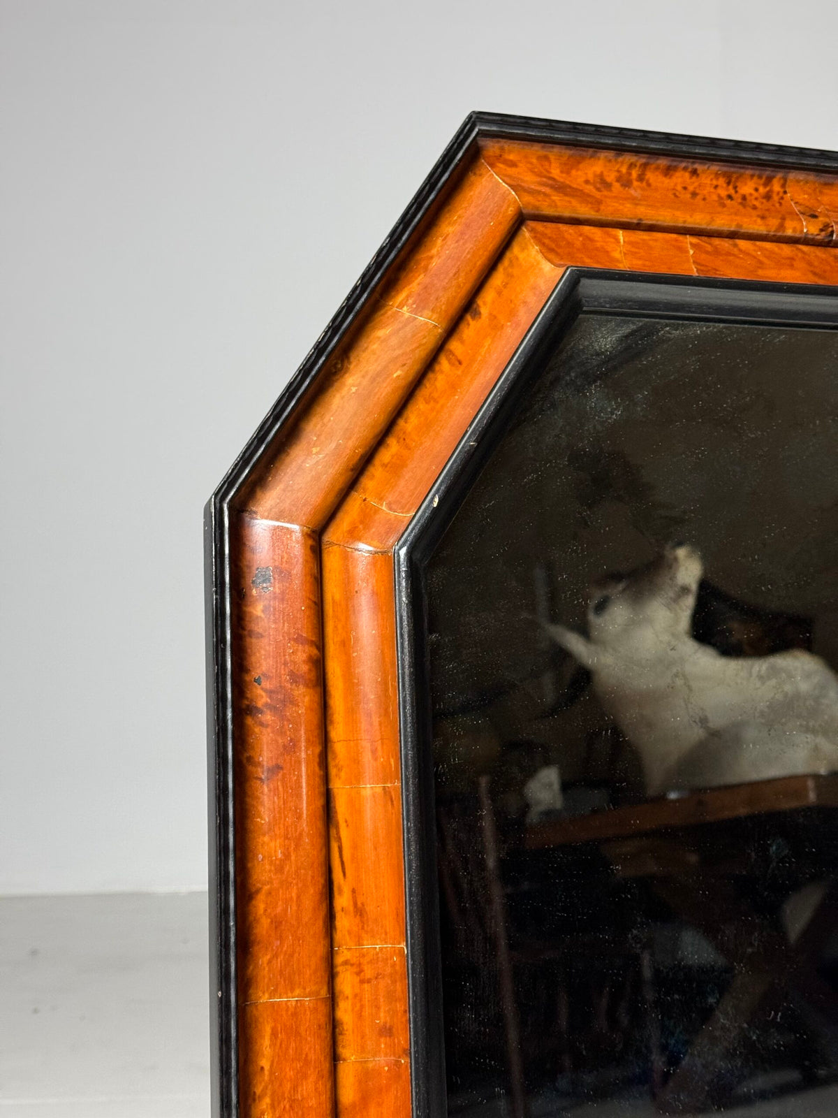 Dutch or Flemish Tortoiseshell Ripple Frame Mirror, Early 20th Century, photo 23