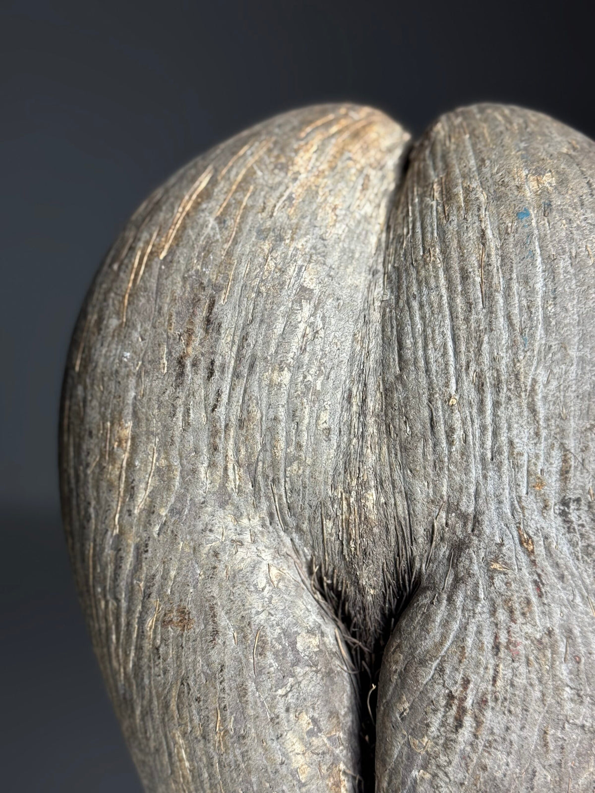 Rustic Unopened Coco de Mer on Black Stand, photo 2
