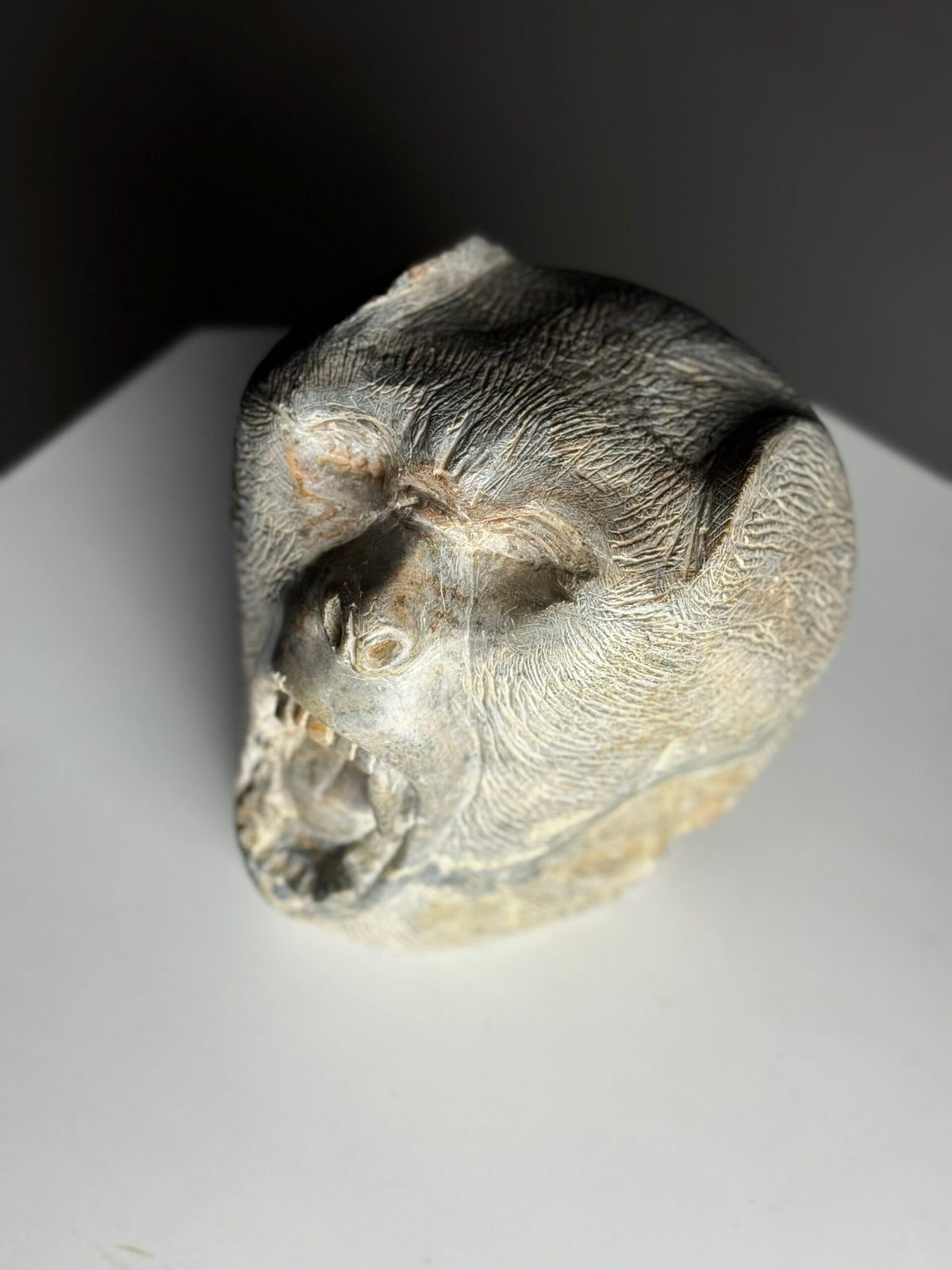 Hand Carved Stone Head of a Screaming Monkey, 20th Century, photo 5