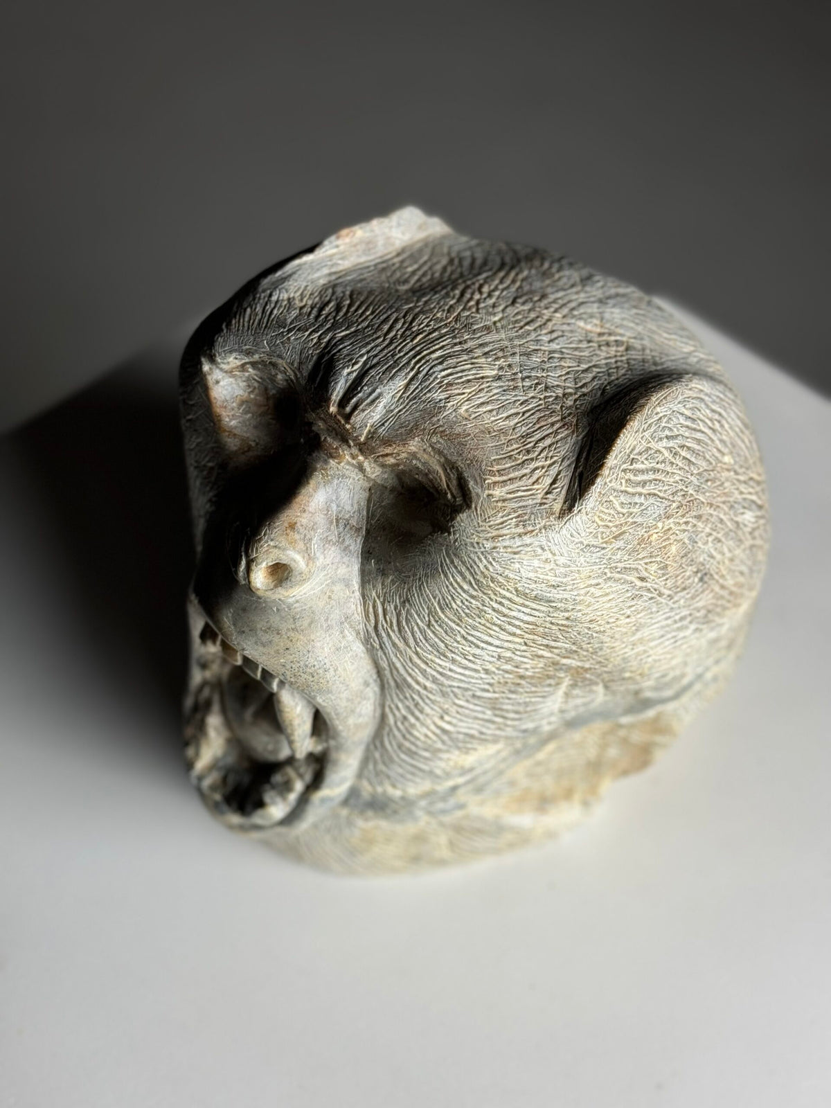 Hand Carved Stone Head of a Screaming Monkey, 20th Century, photo 6