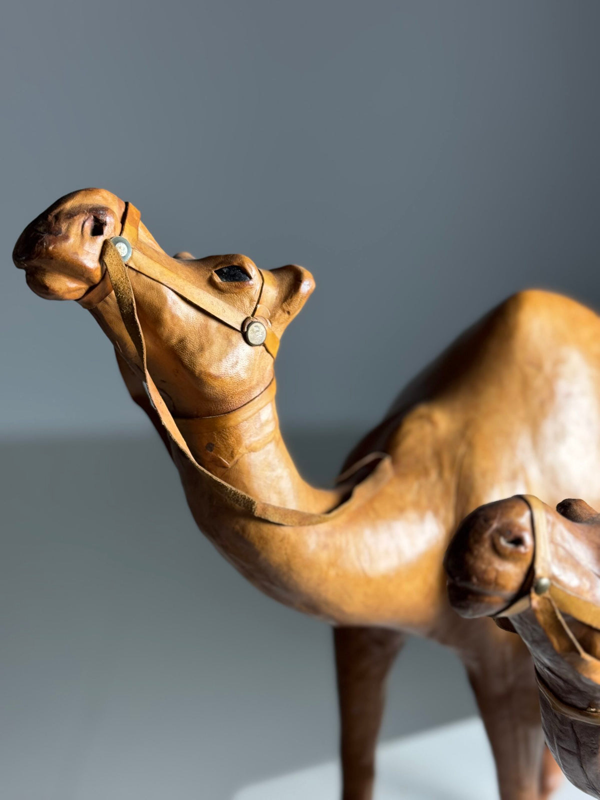 Pair of Leather Covered Dromedaries, England, 20th Century, photo 11