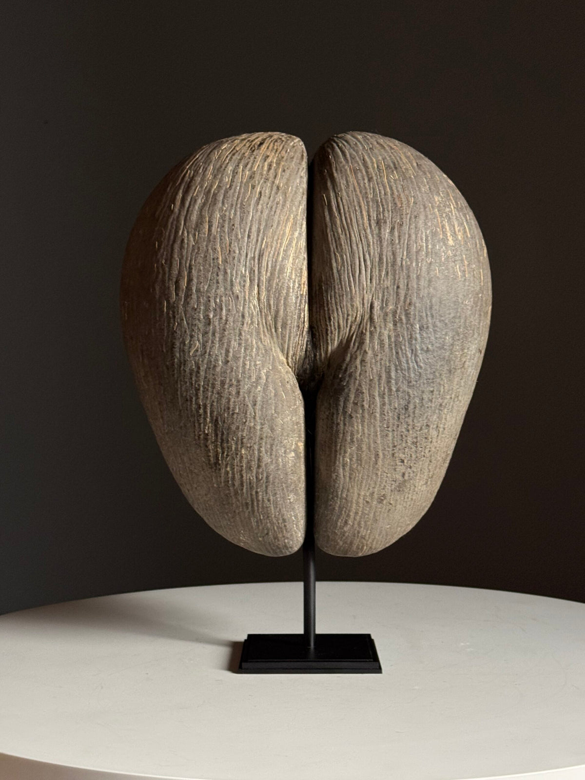 Coco de Mer on Custom Stand, photo 2