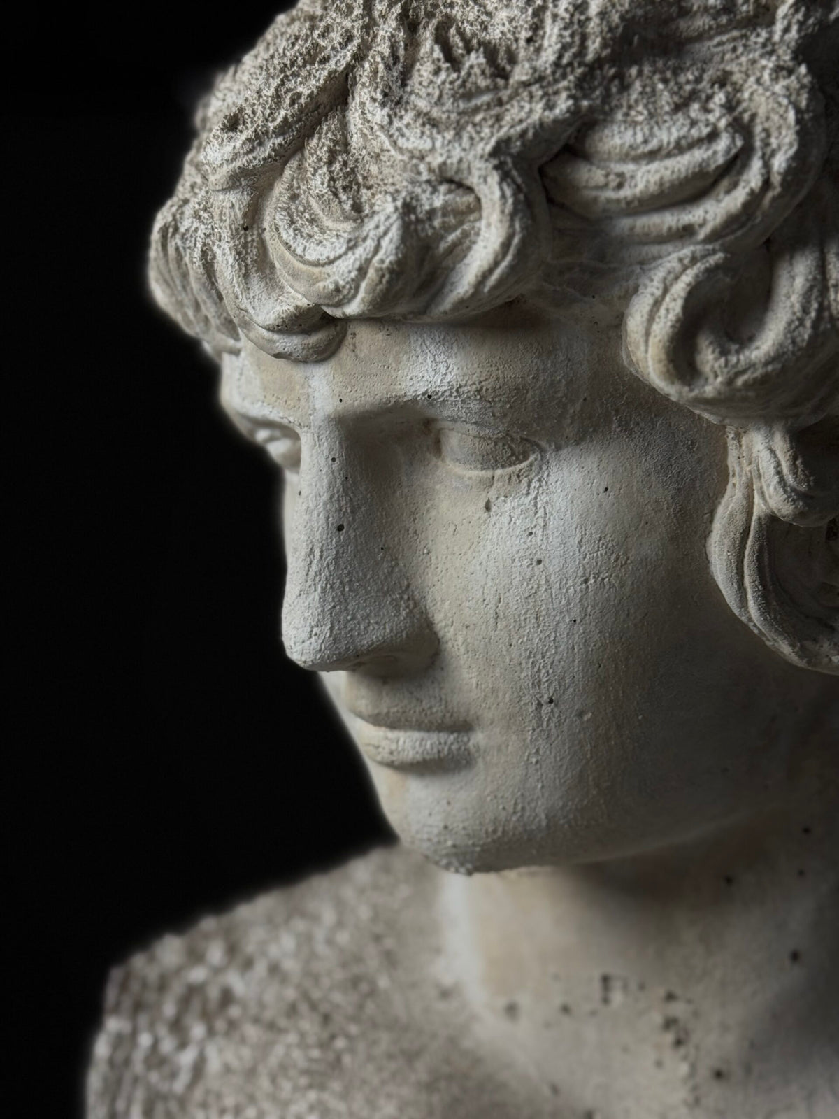 Plaster Bust of Antinous, circa 2000, photo 16