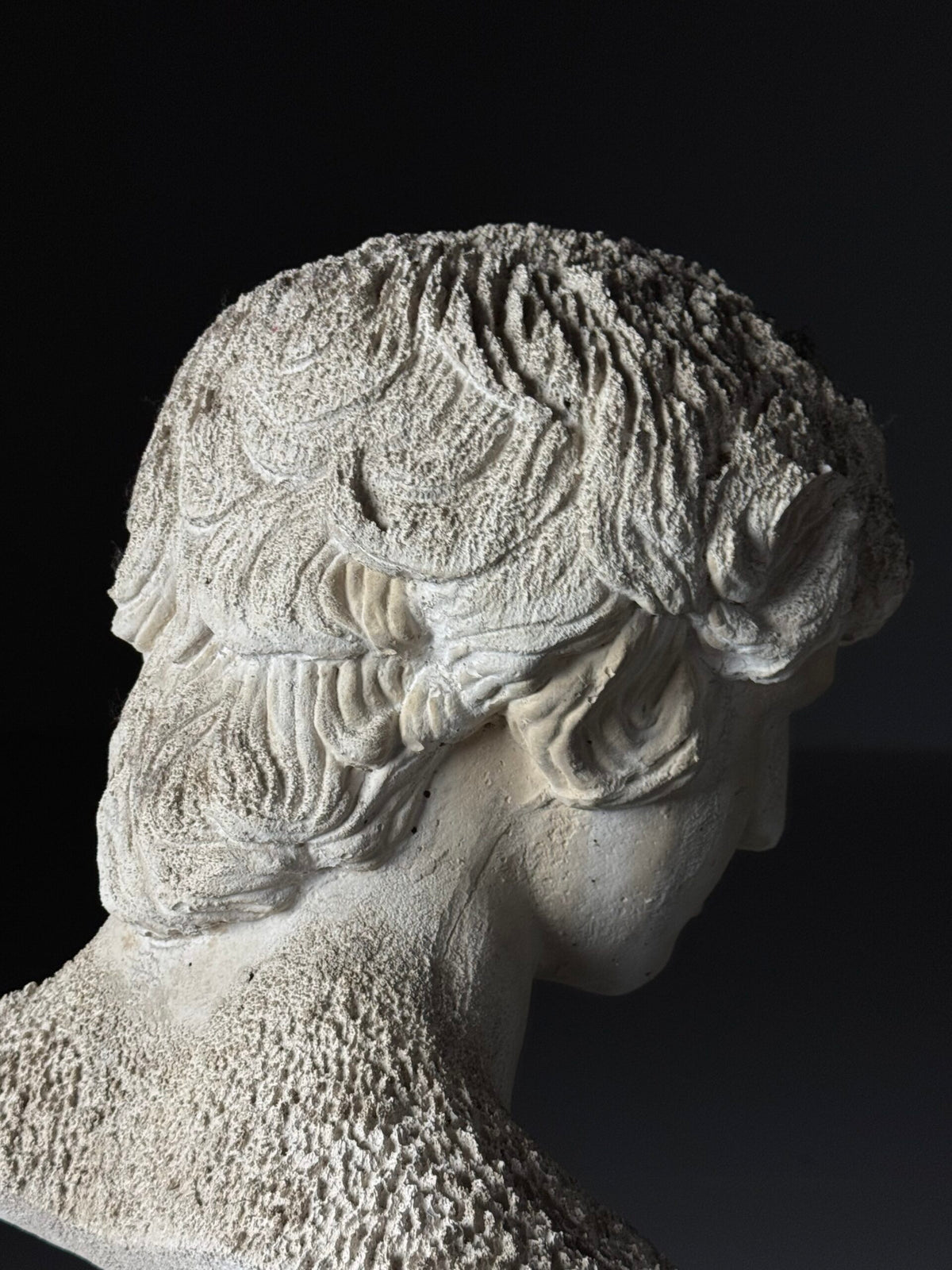 Plaster Bust of Antinous, circa 2000, photo 7