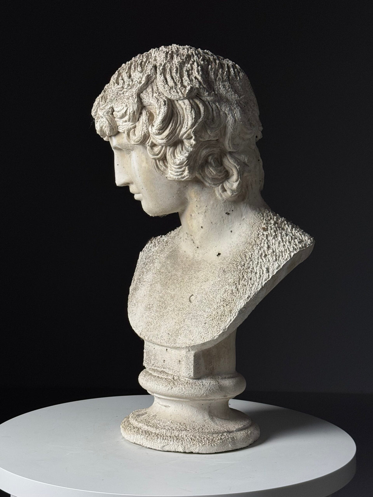Plaster Bust of Antinous, circa 2000, photo 4