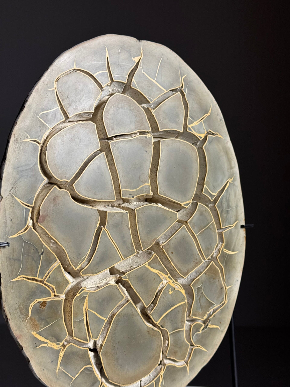 Septaria Nodule Cross Section on Metal Stand, photo 5