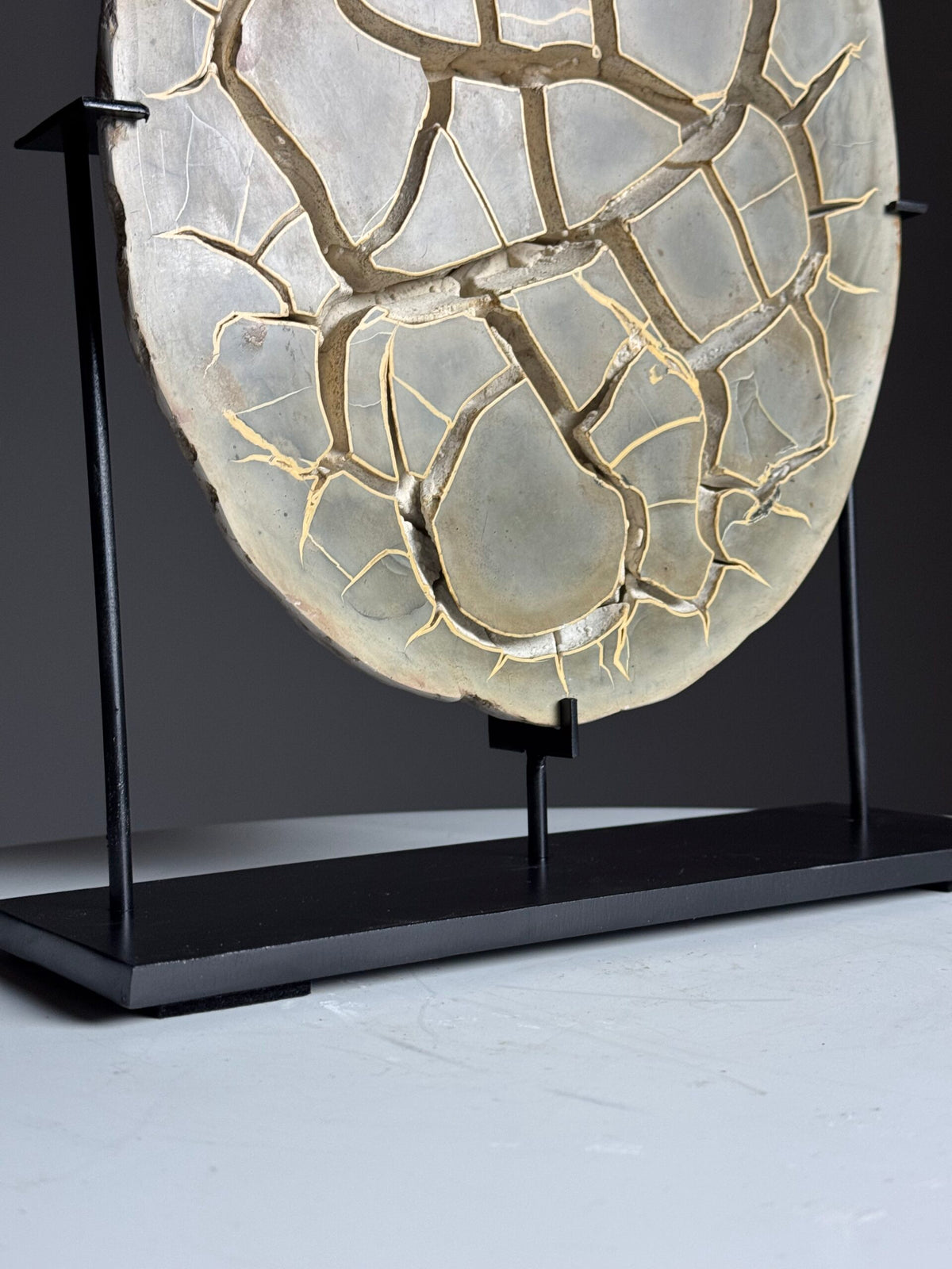 Septaria Nodule Cross Section on Metal Stand, photo 4