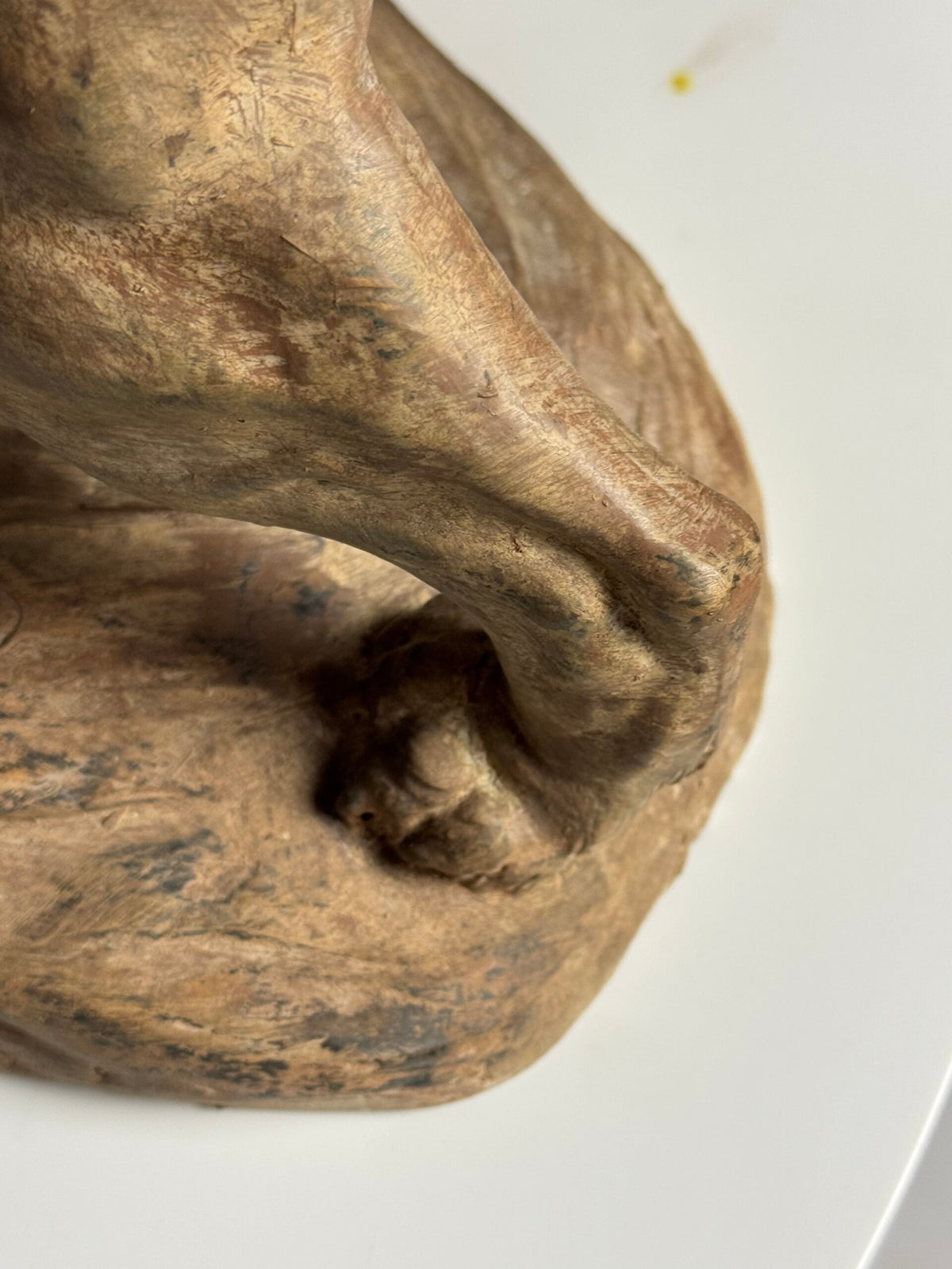 Terracotta Lion Sculpture by Armand Fagotto, photo 12