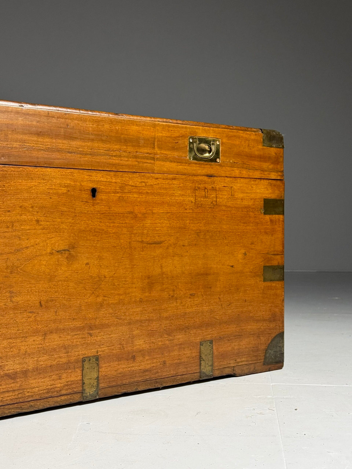 English Camphor Wood Campaign or Maritime Chest, 19th Century, photo 3
