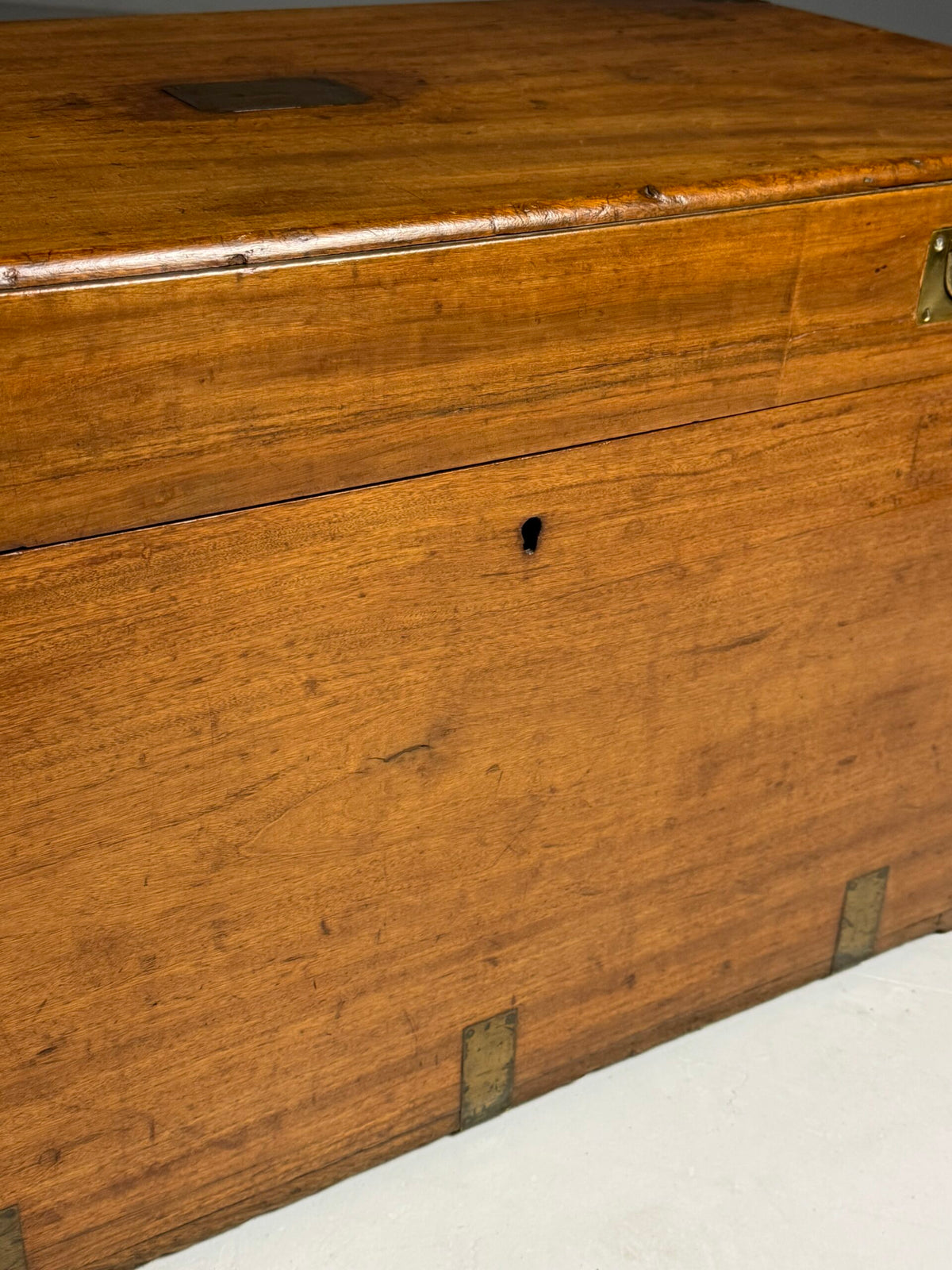 English Camphor Wood Campaign or Maritime Chest, 19th Century, photo 5