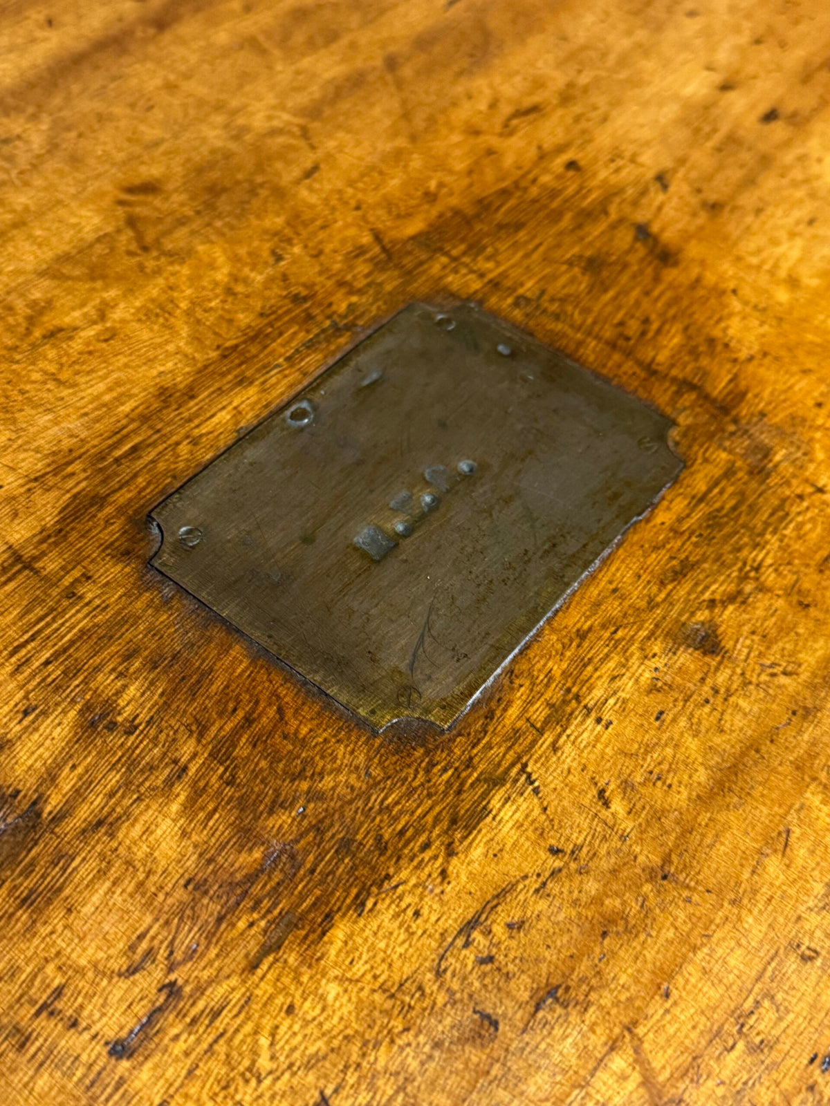 English Camphor Wood Campaign or Maritime Chest, 19th Century, photo 13