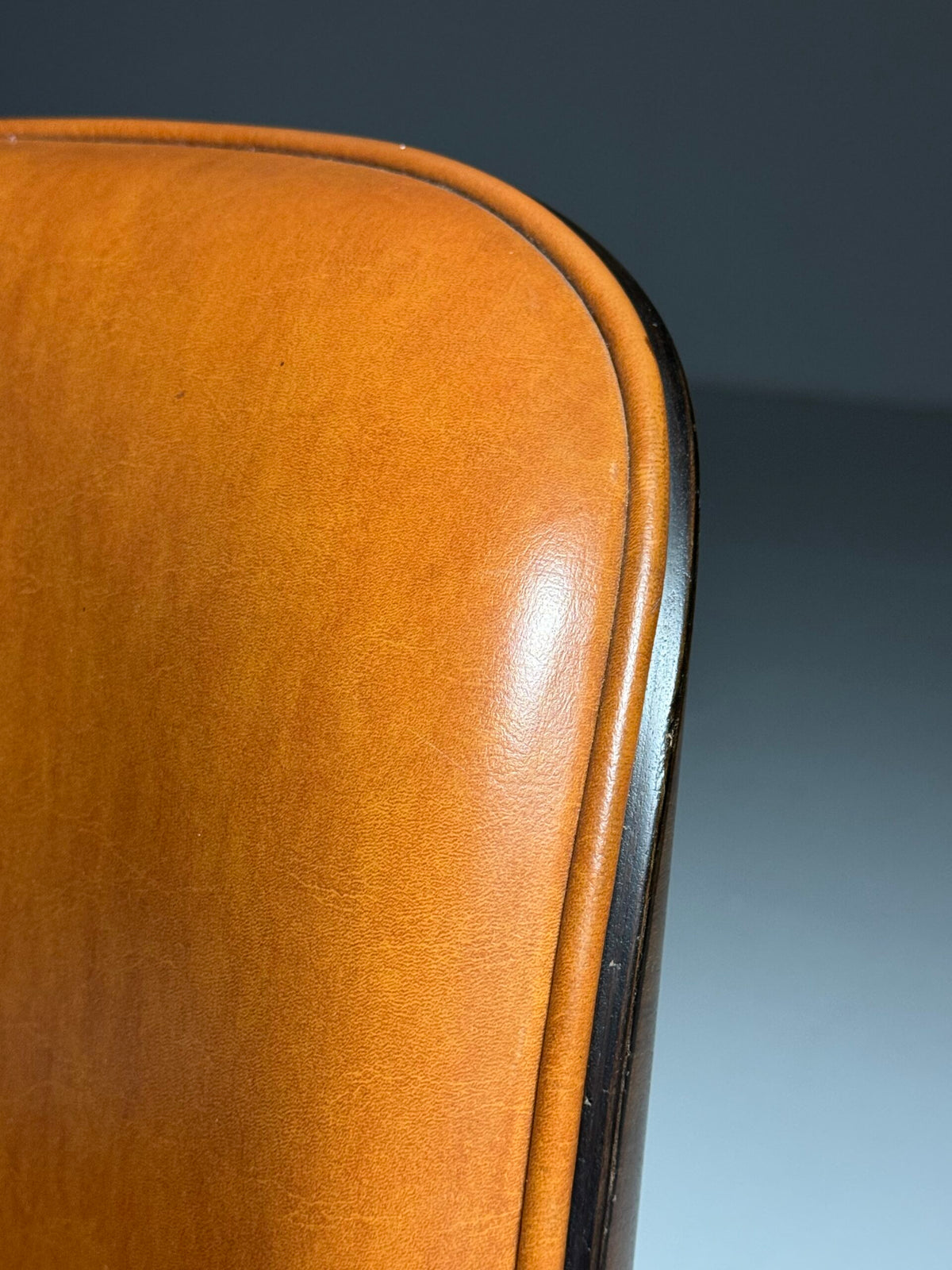 Ico Parisi Desk Chair for MIM Roma, Terni Series, 1958, photo 16