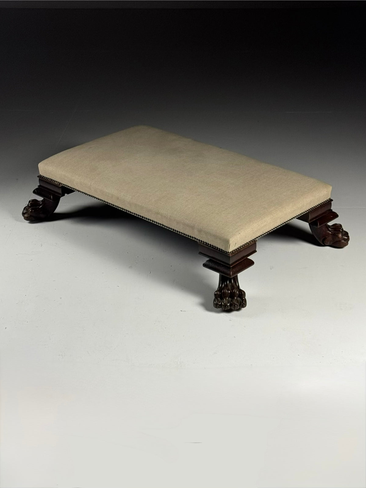 Large 19th Century Footstool with Lion's Claw Feet, photo 1