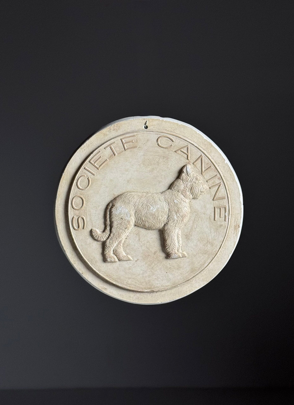 French Plaster Plaque "Societe Canine", photo 9