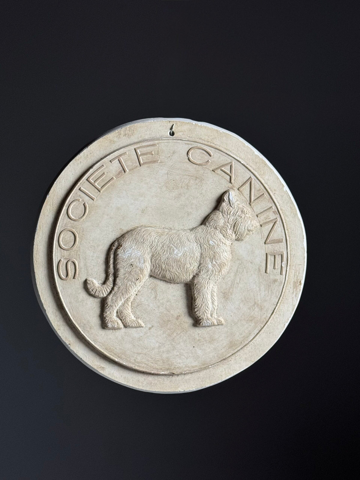 French Plaster Plaque "Societe Canine", photo 1