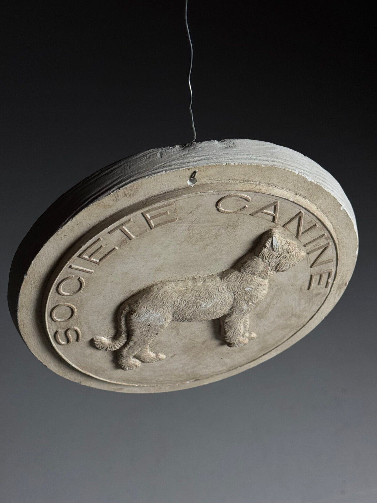 French Plaster Plaque "Societe Canine", photo 4
