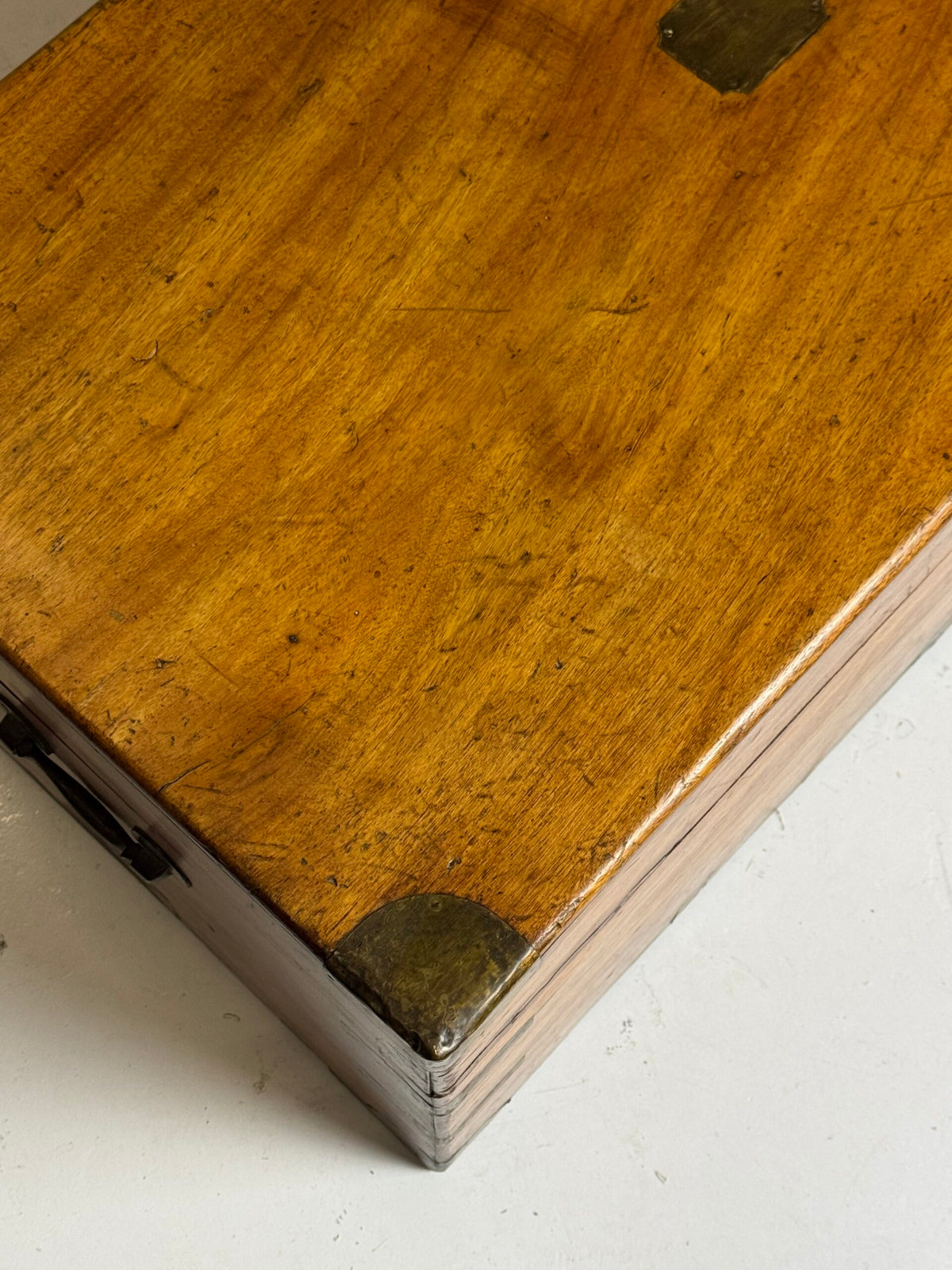 English Camphor Wood Campaign Chest, 19th Century, photo 38