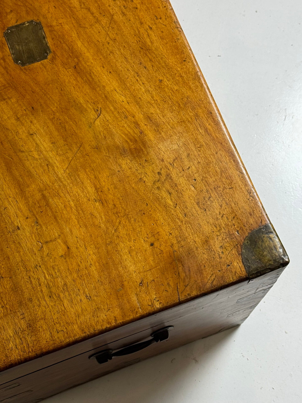 English Camphor Wood Campaign Chest, 19th Century, photo 36