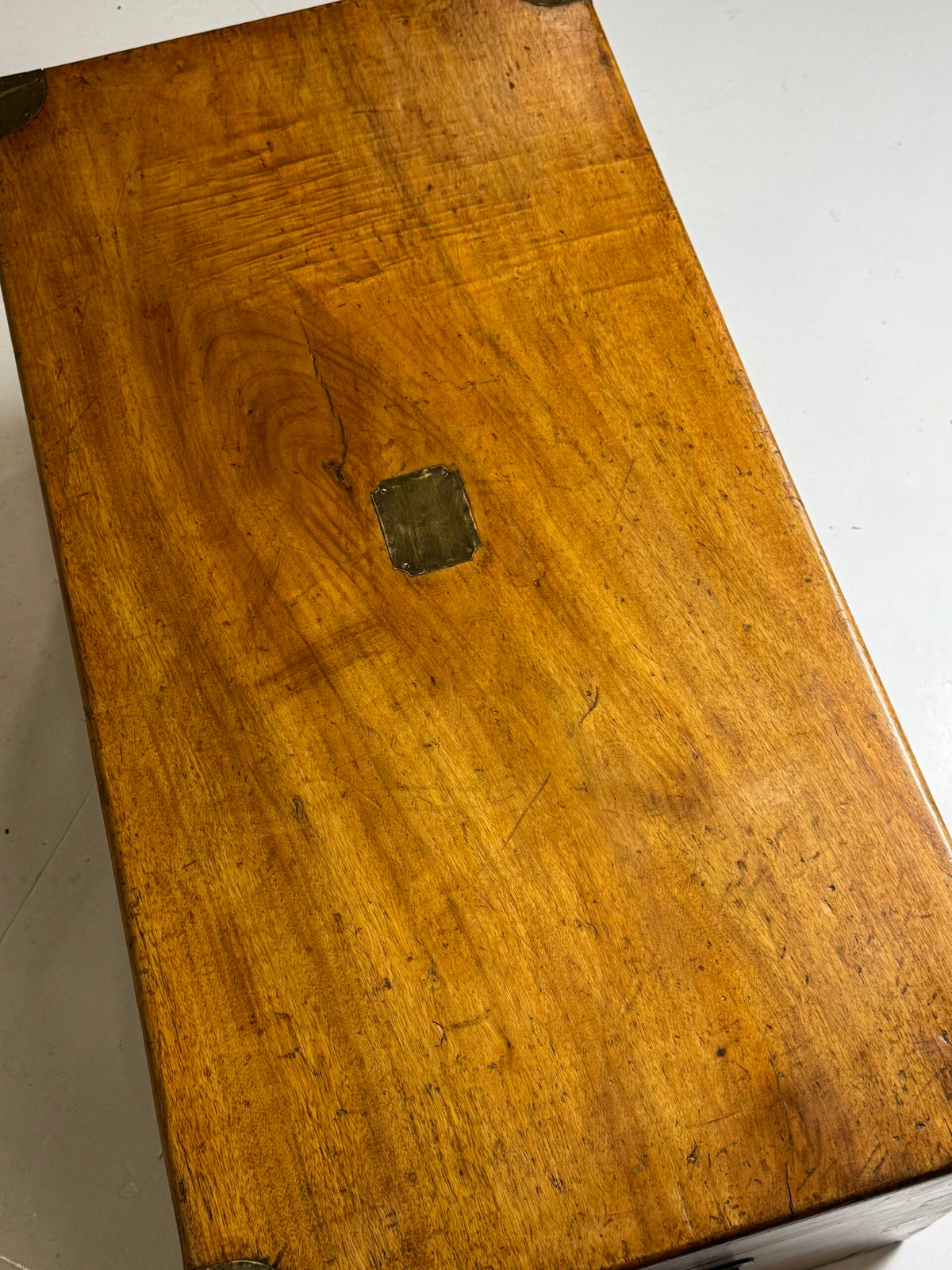 English Camphor Wood Campaign Chest, 19th Century, photo 35