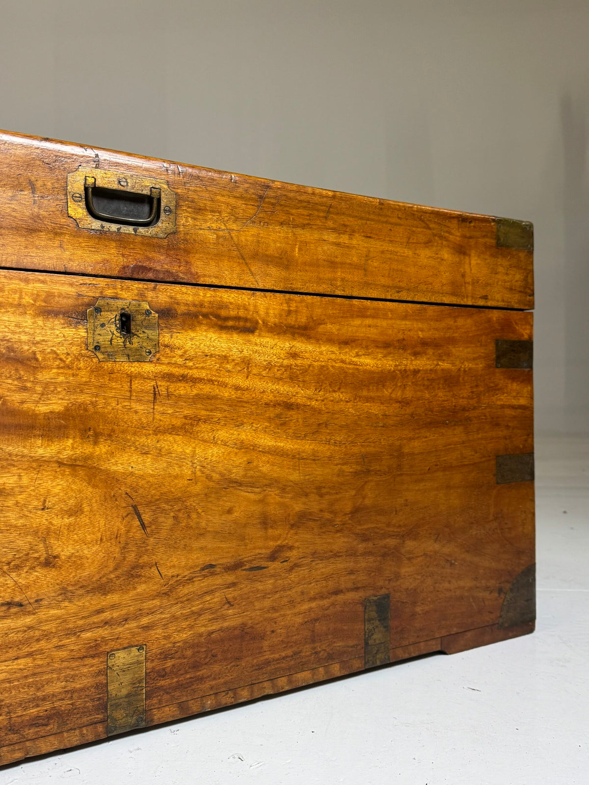 English Camphor Wood Campaign Chest, 19th Century, photo 31