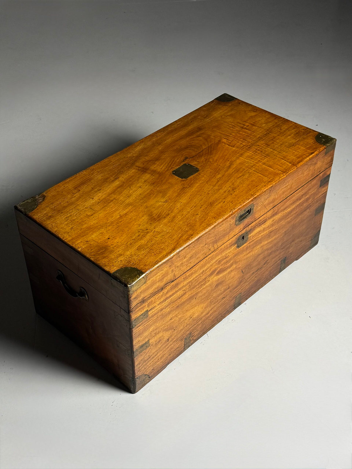 English Camphor Wood Campaign Chest, 19th Century, photo 30