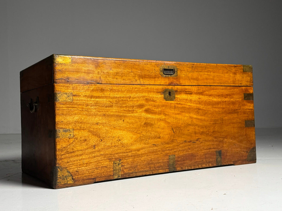 English Camphor Wood Campaign Chest, 19th Century, photo 26