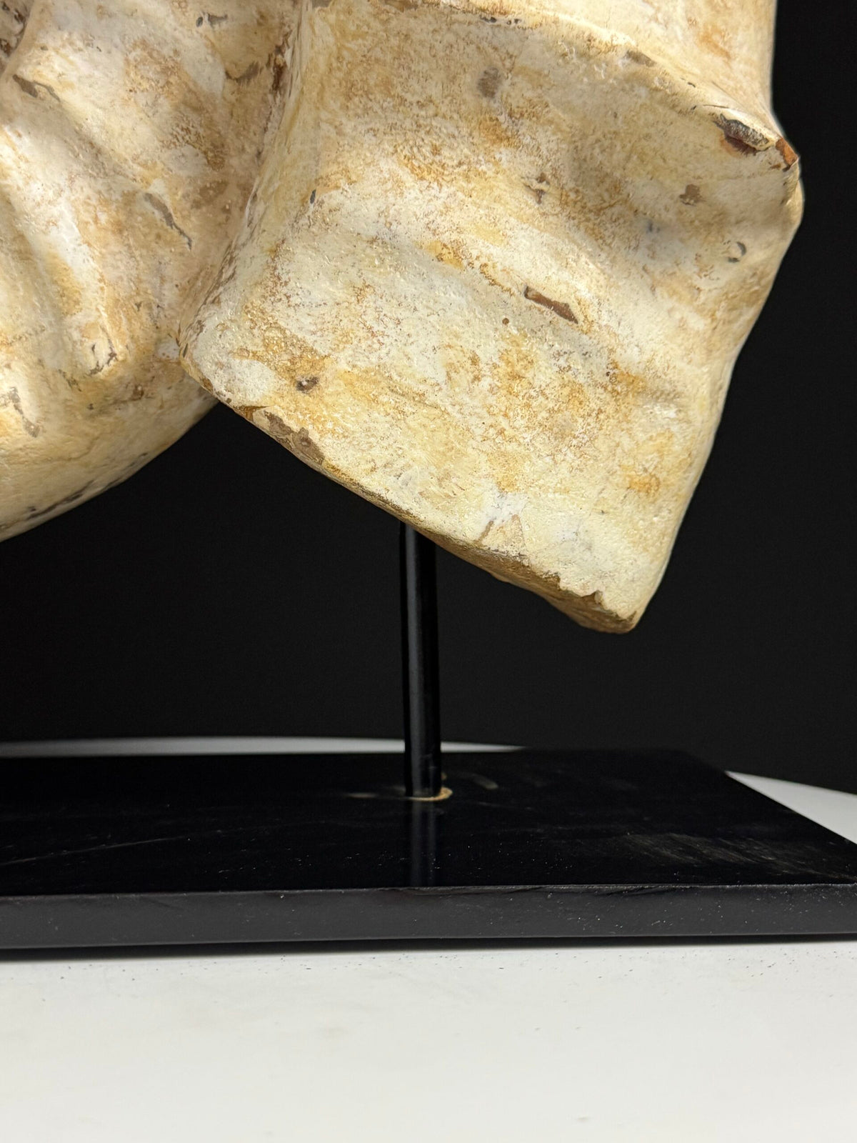 Large Fossil Ammonite on Custom Metal Stand, photo 11