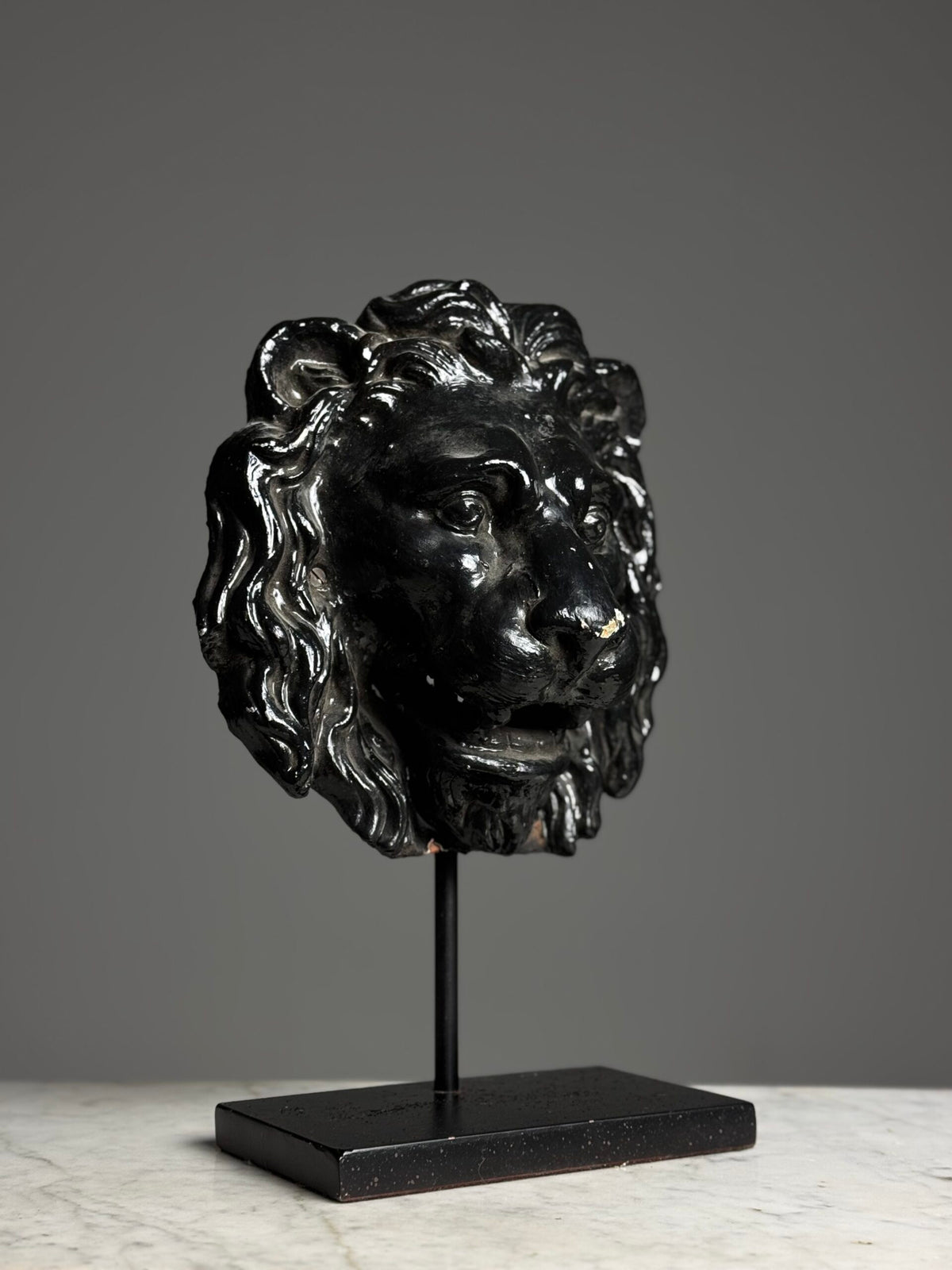 French Terracotta Lion Head Fountain Mask, photo 8