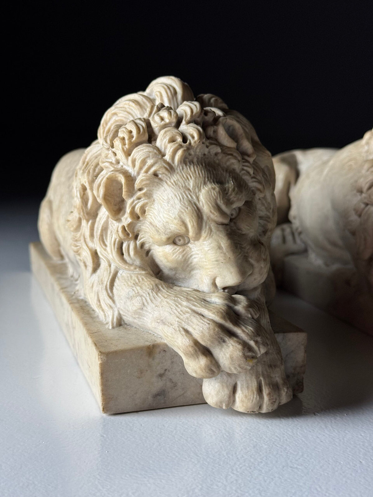 Pair of Reclining Lions After Canova, Mid 20th Century, photo 12