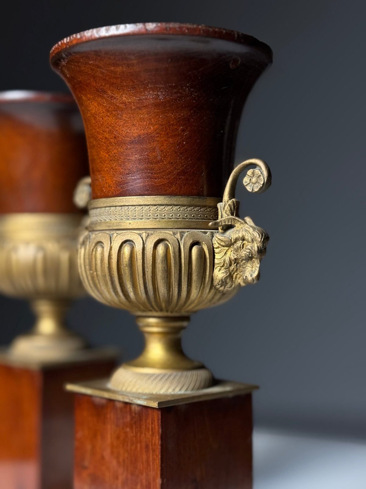 Pair of 19th Century Mahogany Vases with Gilt Bronze Ram's Heads, photo 8