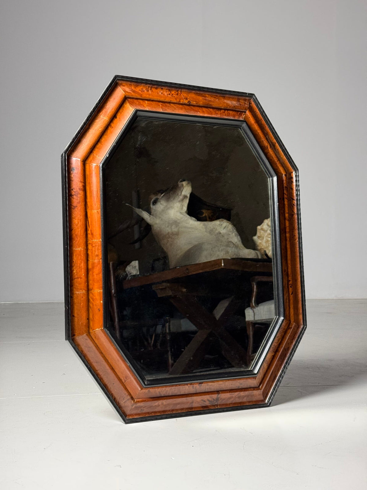 Dutch or Flemish Tortoiseshell Ripple Frame Mirror, Early 20th Century, photo 25