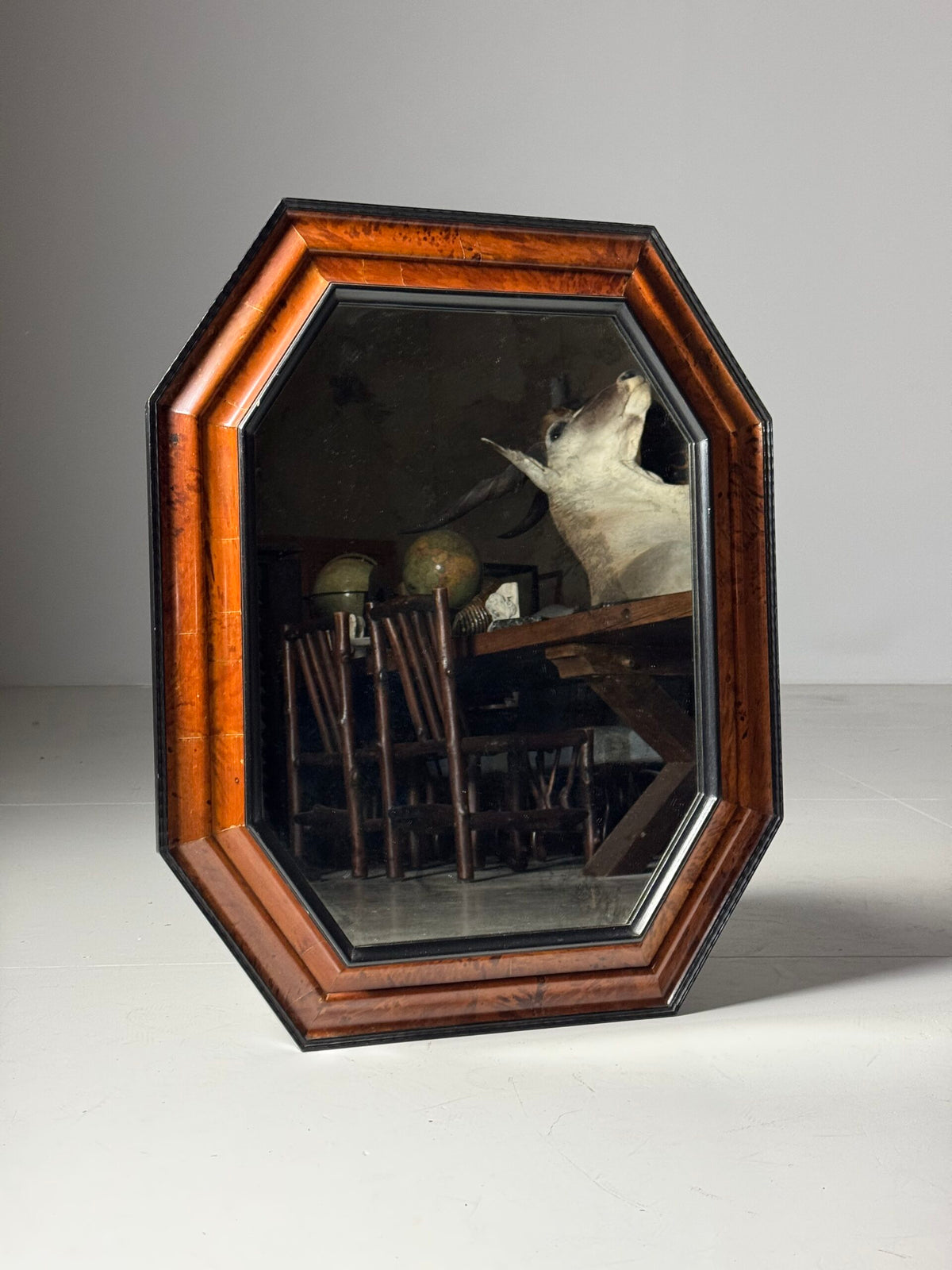 Dutch or Flemish Tortoiseshell Ripple Frame Mirror, Early 20th Century, photo 6
