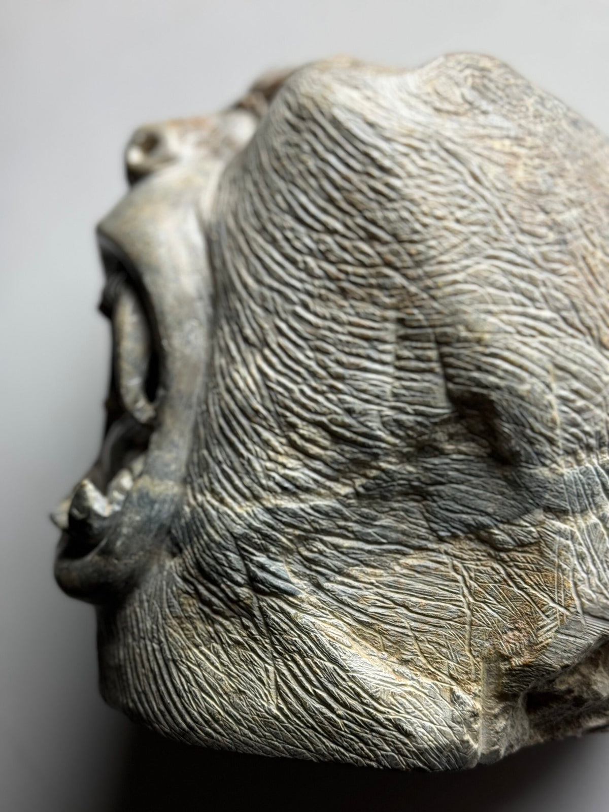 Hand Carved Stone Head of a Screaming Monkey, 20th Century, photo 9