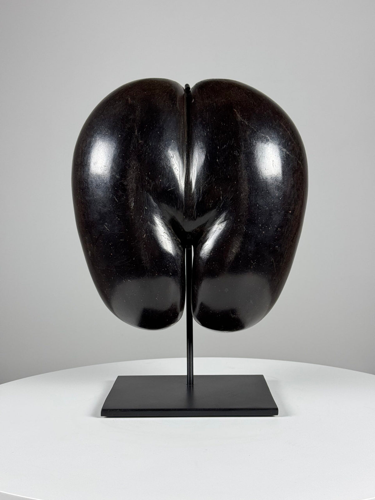 Polished Coco de Mer on Stand, photo 1