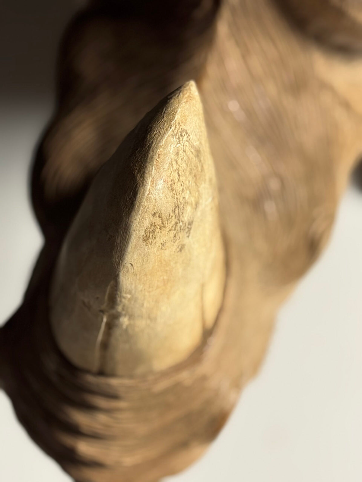 Hand Carved Asian Rhinoceros and Calf, South East Asia, c. 1960, photo 19