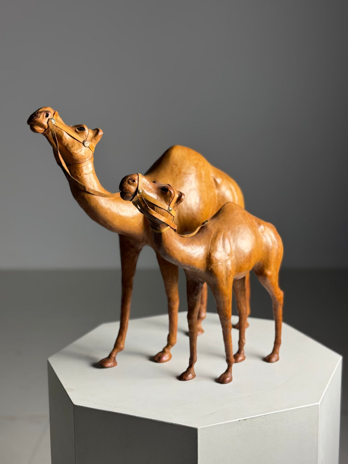 Pair of Leather Covered Dromedaries, England, 20th Century, photo 14
