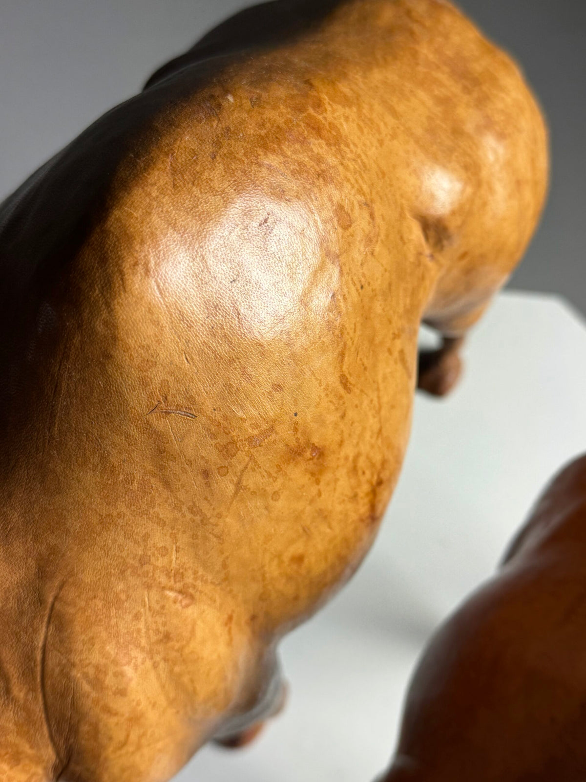 Pair of Leather Covered Dromedaries, England, 20th Century, photo 10