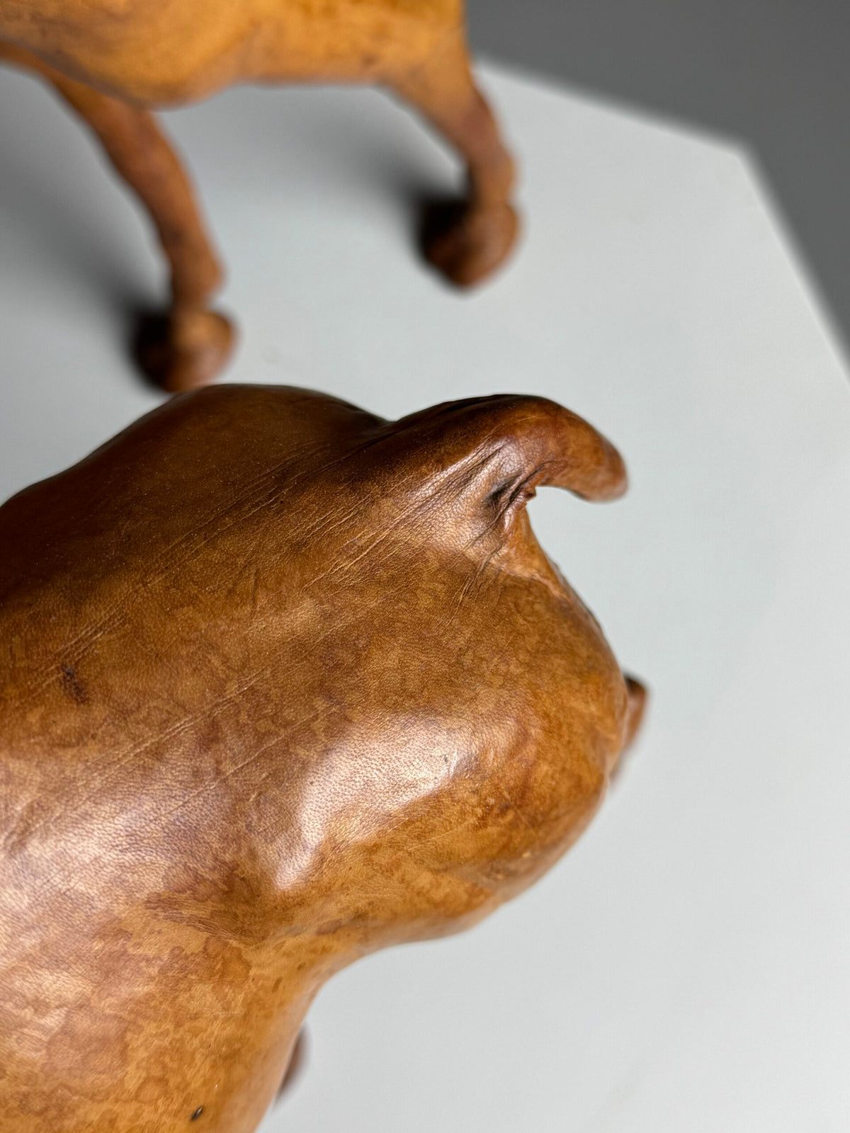Pair of Leather Covered Dromedaries, England, 20th Century, photo 8