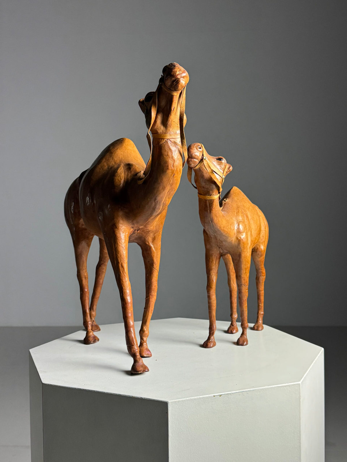 Pair of Leather Covered Dromedaries, England, 20th Century, photo 7