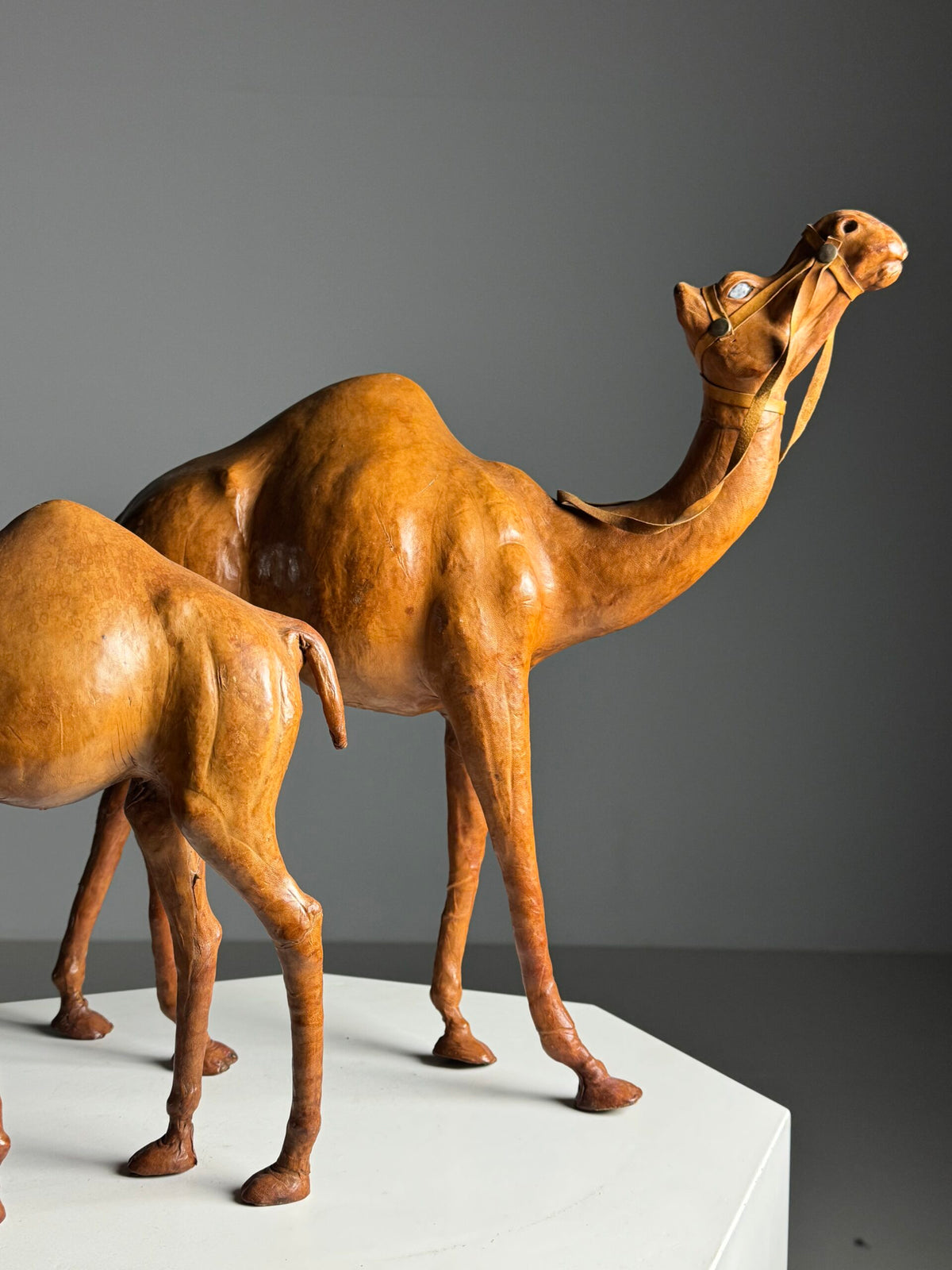 Pair of Leather Covered Dromedaries, England, 20th Century, photo 1