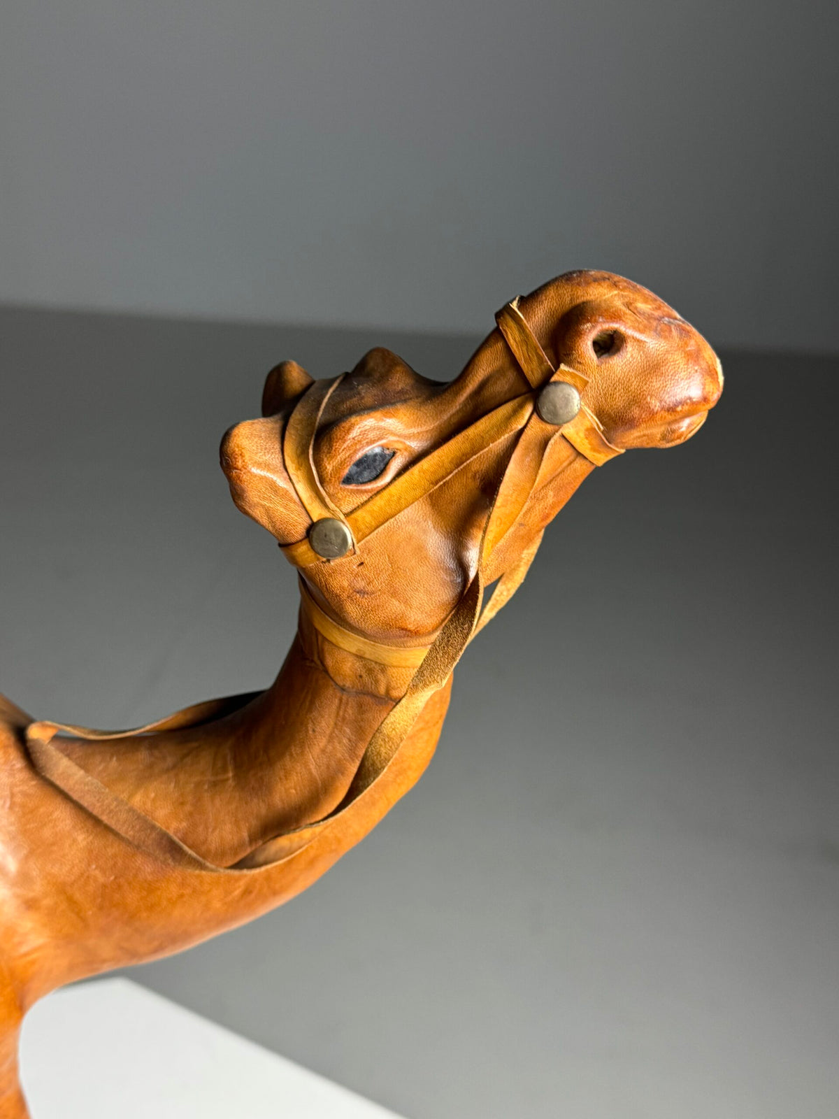 Pair of Leather Covered Dromedaries, England, 20th Century, photo 5