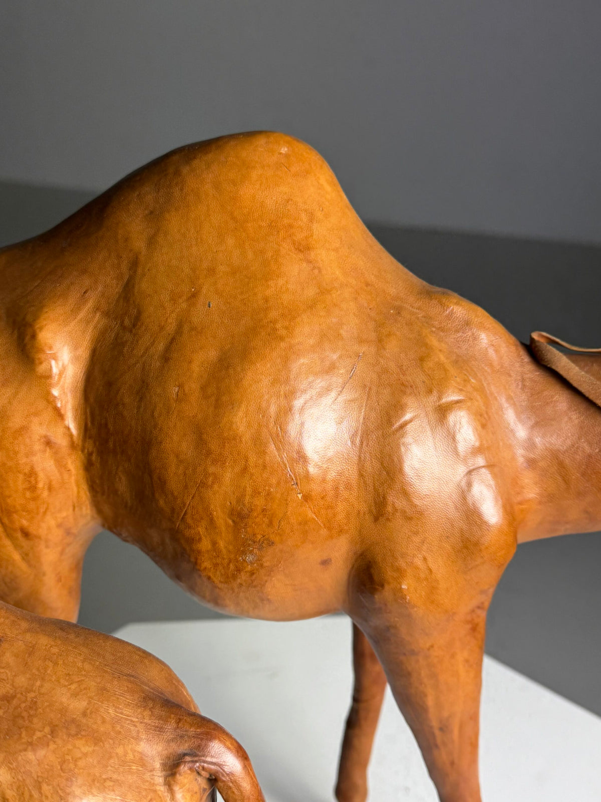 Pair of Leather Covered Dromedaries, England, 20th Century, photo 4