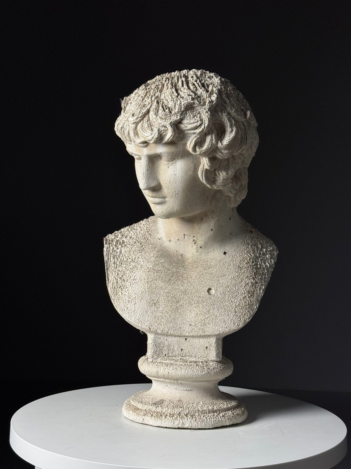 Plaster Bust of Antinous, circa 2000, photo 19