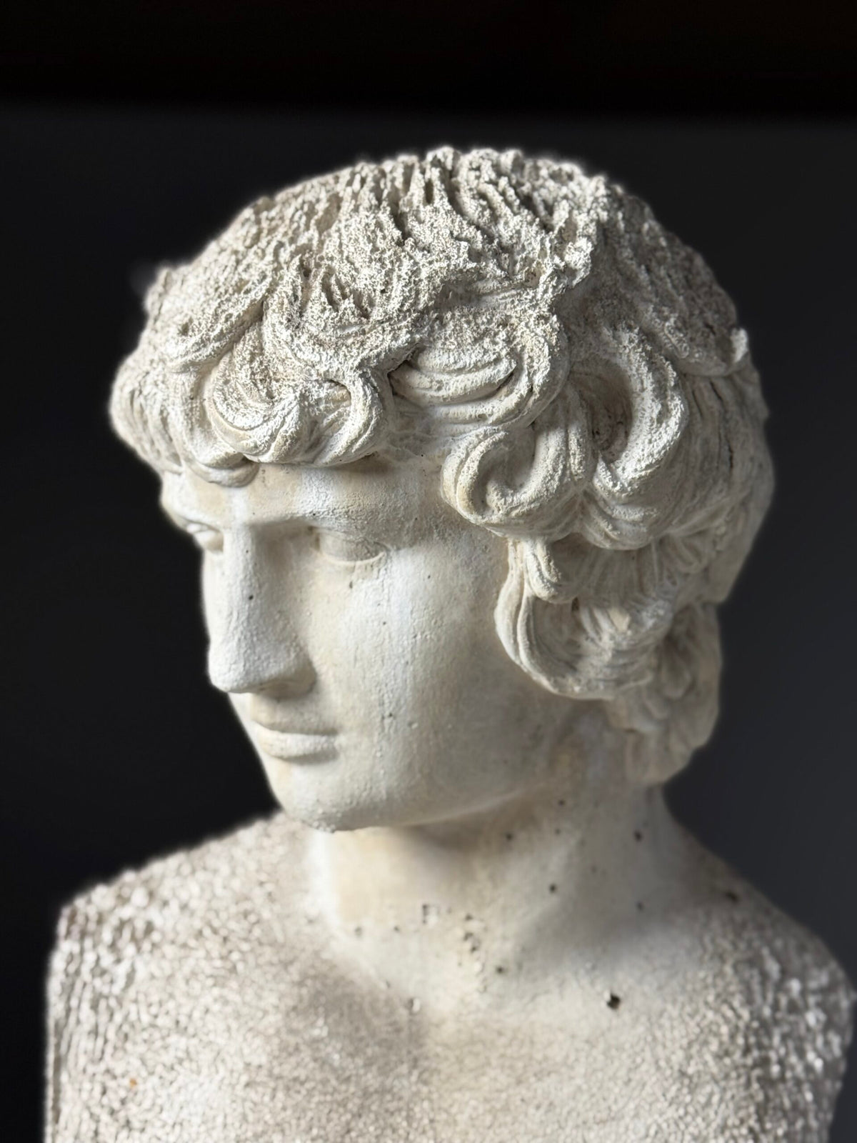 Plaster Bust of Antinous, circa 2000, photo 17
