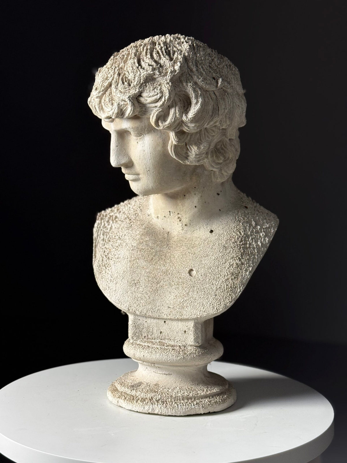 Plaster Bust of Antinous, circa 2000, photo 11