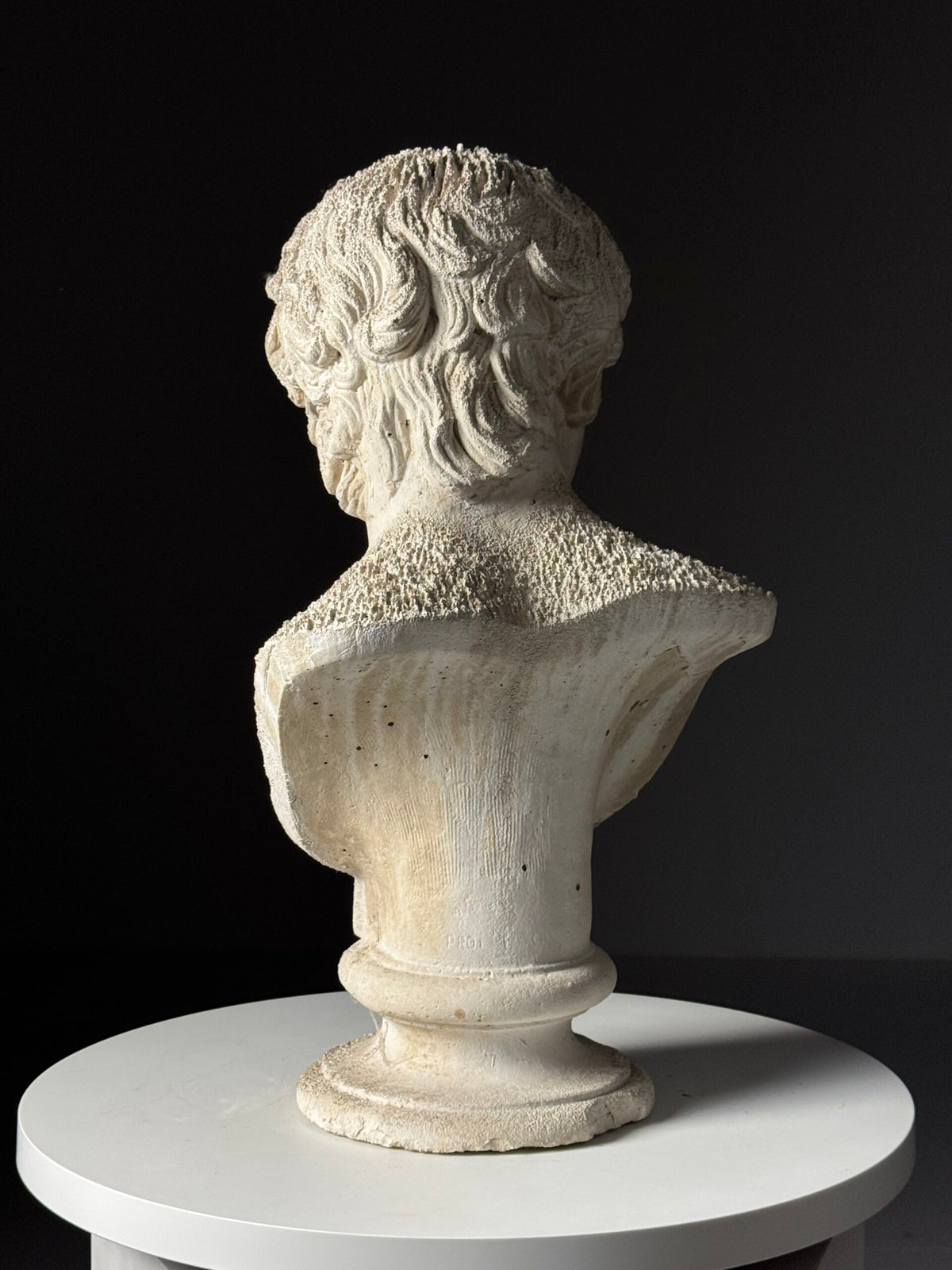 Plaster Bust of Antinous, circa 2000, photo 6