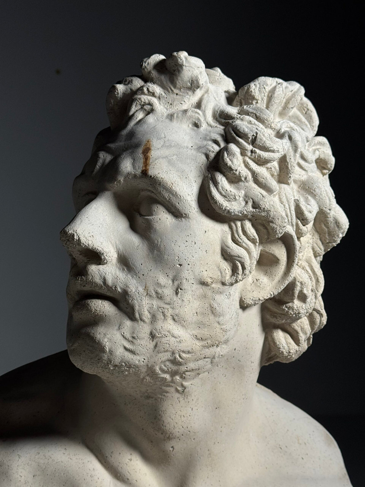 Concrete Bust of a Companion of Odysseus, England, photo 3